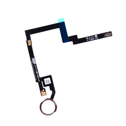 Apple Uyumlu iPad Mini 3 Home Tuş Bordu Filmi Gold