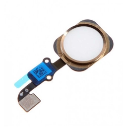 Apple Uyumlu iPhone 6 Plus Home Tuş Bordu Filmi Flex Gold