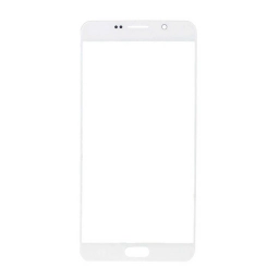 Samsung Uyumlu Galaxy Note 5 N920 Lens Ocalı Silver Servis